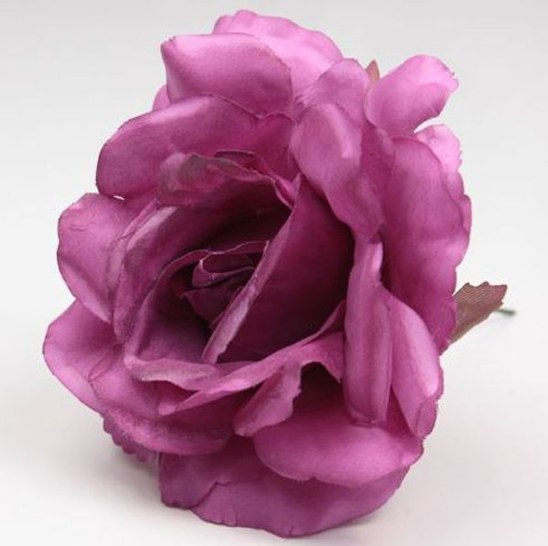 Small Rose Cadiz. 10cm. Bougainvillea
